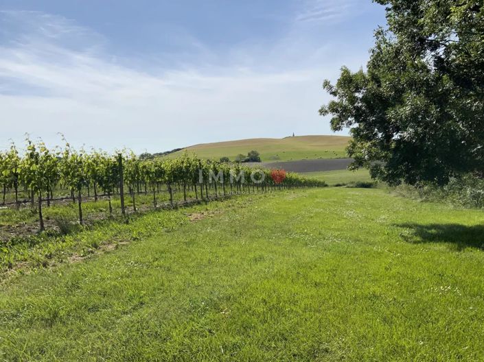 Image No.23-Maison de 5 chambres à vendre à Saint-Fort-sur-Gironde