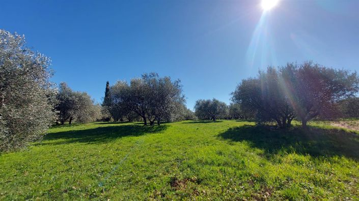 Image No.10-6 Bed House for sale