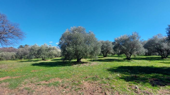 Image No.12-6 Bed House for sale