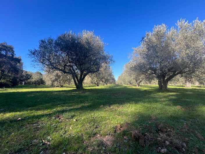 Image No.32-6 Bed House for sale