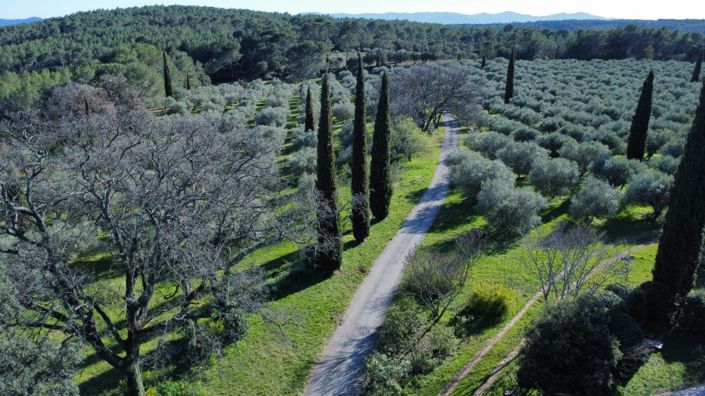 Image No.34-6 Bed House for sale