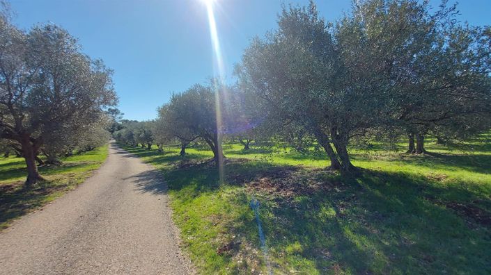 Image No.5-6 Bed House for sale