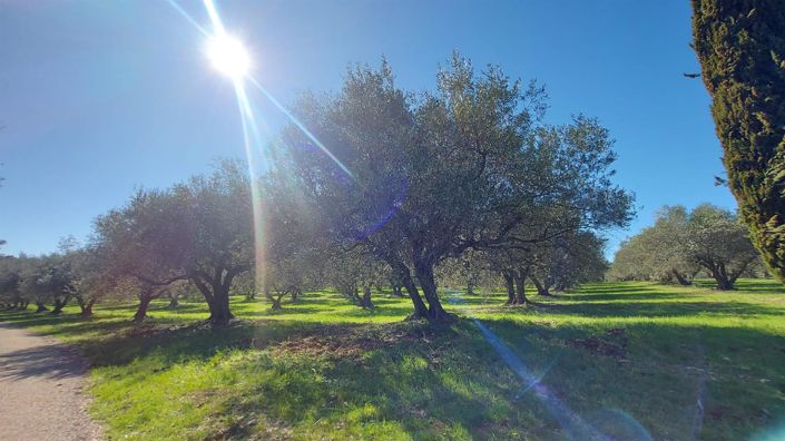 Image No.8-6 Bed House for sale