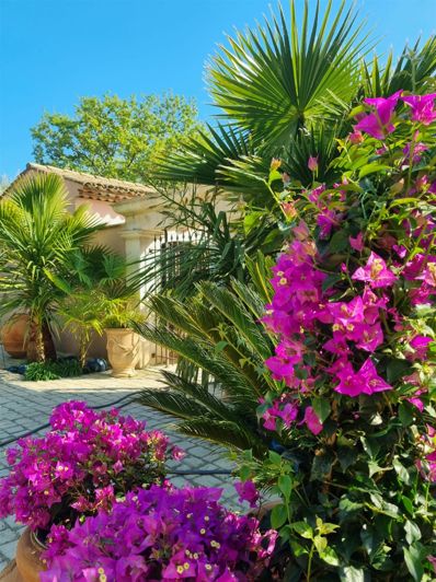 Image No.56-4 Bed House for sale