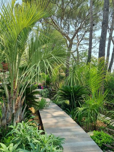 Image No.65-4 Bed House for sale