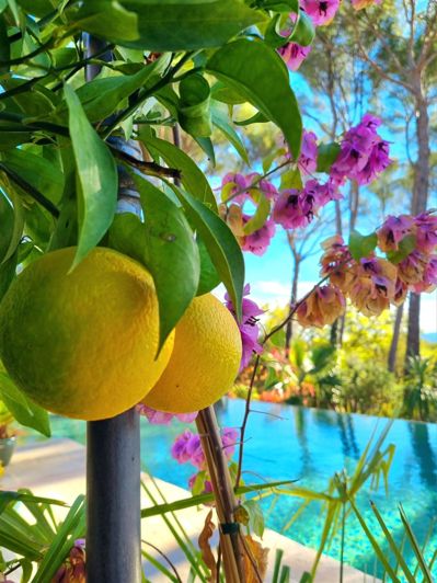 Image No.66-4 Bed House for sale