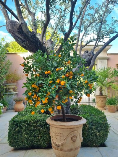 Image No.67-4 Bed House for sale