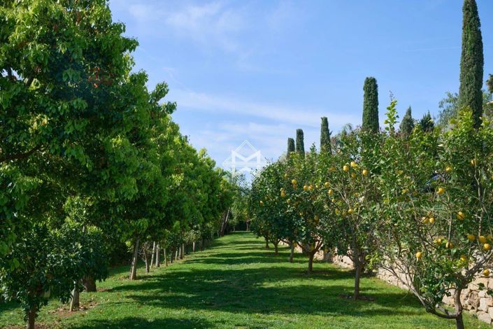 Image No.3-Maison de 5 chambres à vendre à Cannes