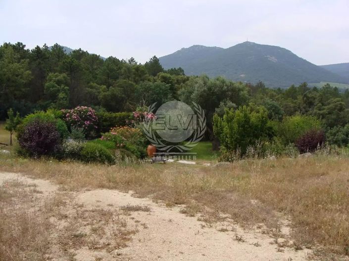 Image No.25-3 Bed House for sale