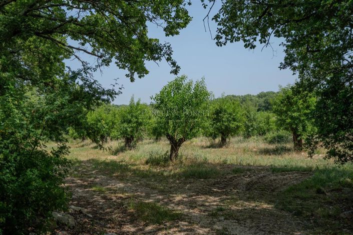 Image No.2-Maison de 7 chambres à vendre à Bouquet