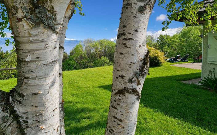 Image No.16-5 Bed House for sale