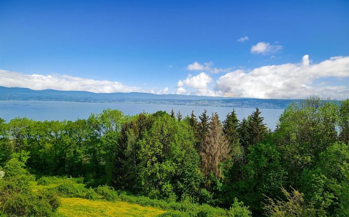 Image No.21-5 Bed House for sale