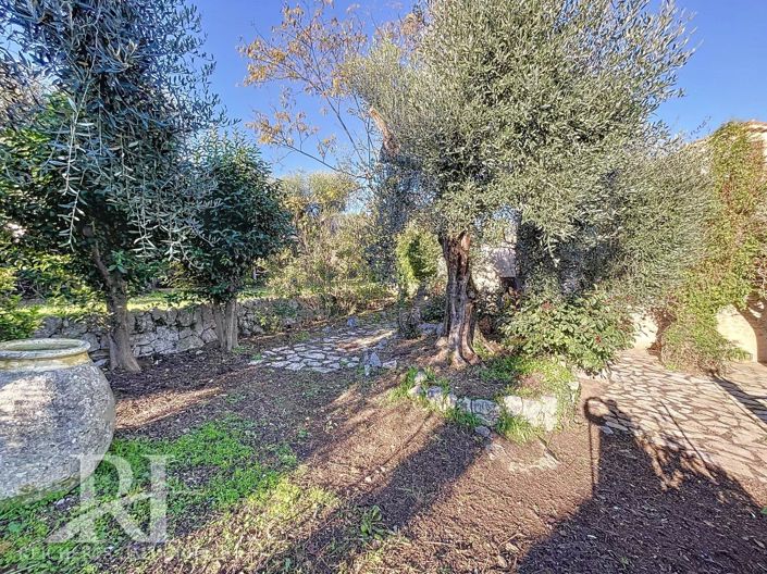 Image No.24-3 Bed House for sale