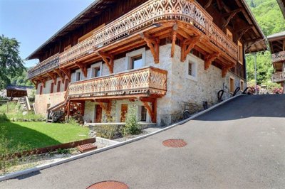 1 - Montriond, Property