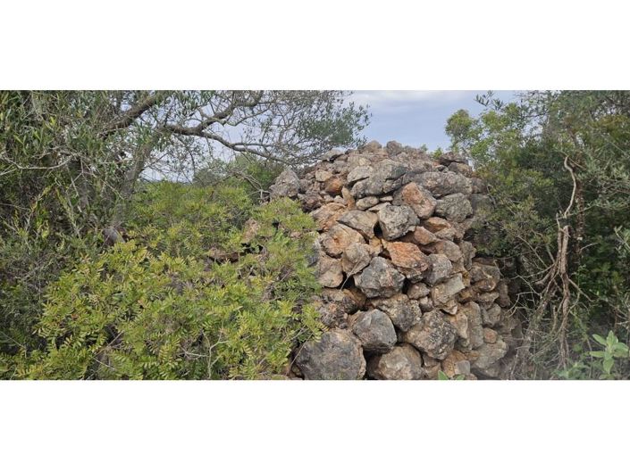 Image No.2-2 Bed House for sale