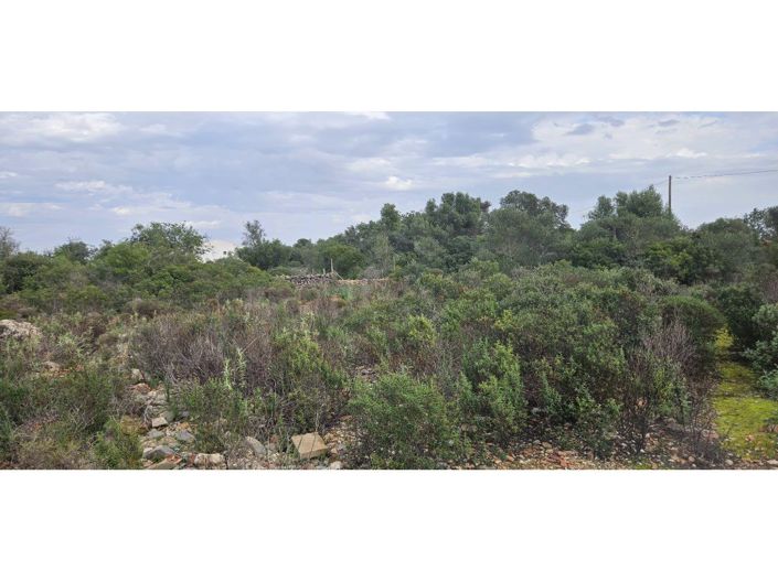 Image No.2-2 Bed House for sale