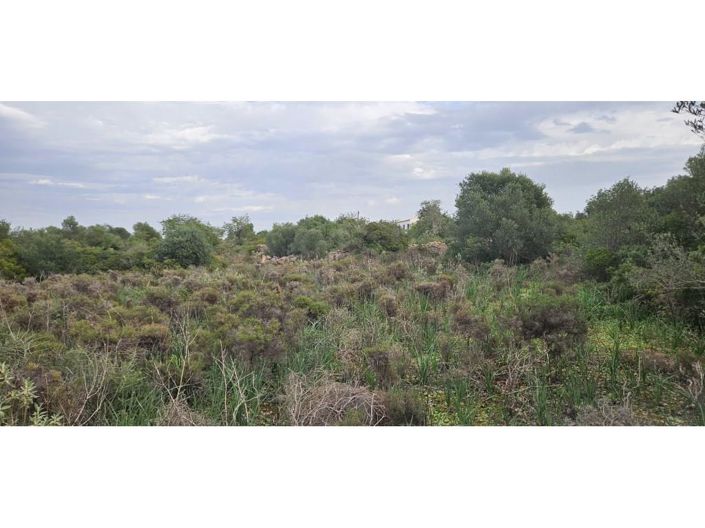 Image No.7-Maison de 2 chambres à vendre à Tavira