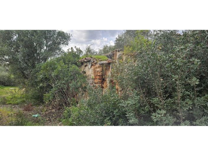 Image No.9-2 Bed House for sale