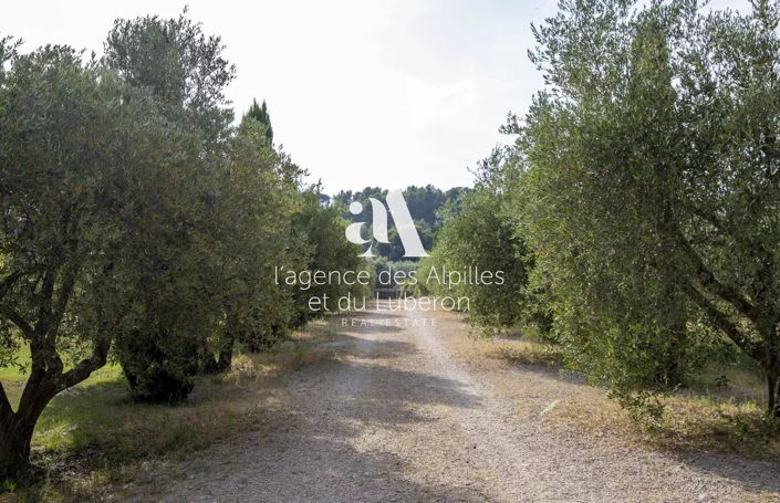 Image No.36-Maison de 6 chambres à vendre à Les Baux-de-Provence