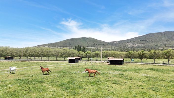 Image No.5-2 Bed House for sale