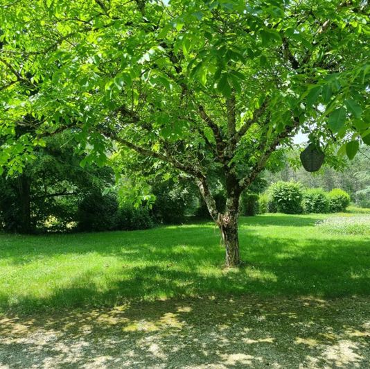 Image No.13-9 Bed Property for sale