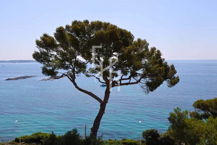 Image No.11-Appartement à vendre à Cannes