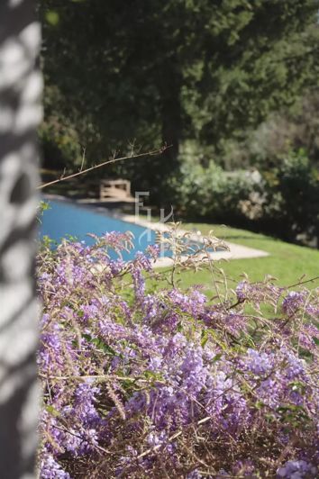 Image No.22-5 Bed House for sale