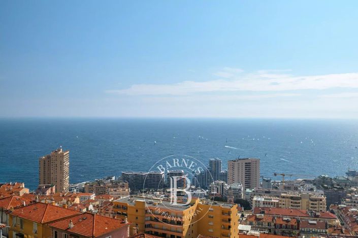 Image No.19-Appartement de 2 chambres à vendre à Beausoleil