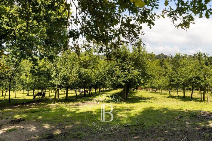 Image No.11-House for sale