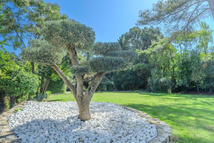 Image No.4-6 Bed House for sale