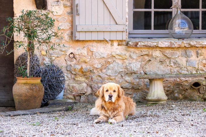 Image No.5-Maison de 7 chambres à vendre à Le Rouret