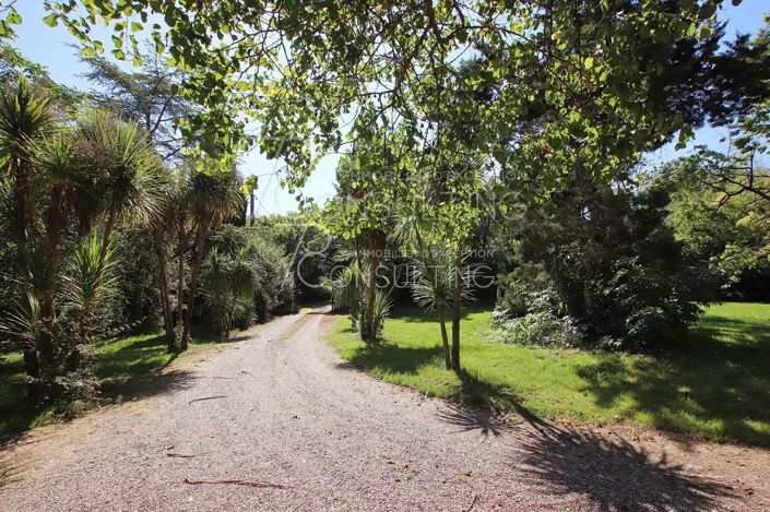 Image No.28-Maison à vendre à Mauvezin