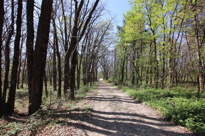 Image No.18-House for sale