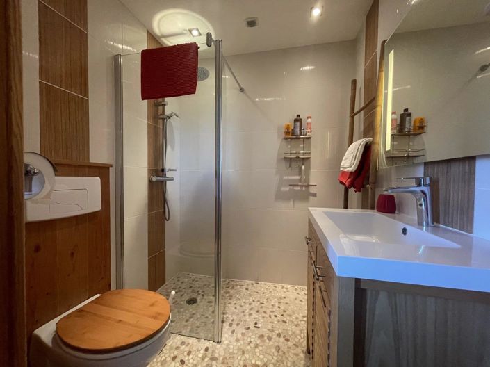 Image No.19-Maison de 8 chambres à vendre à Aignan