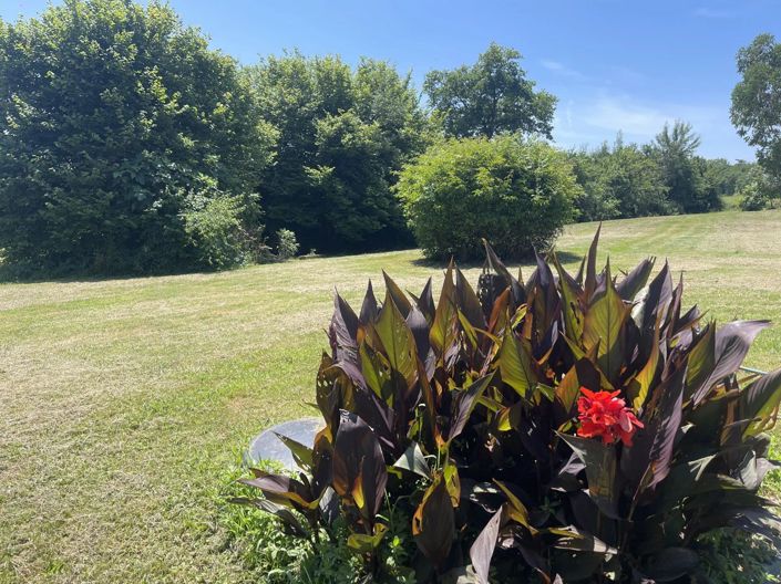 Image No.27-Maison de 8 chambres à vendre à Aignan