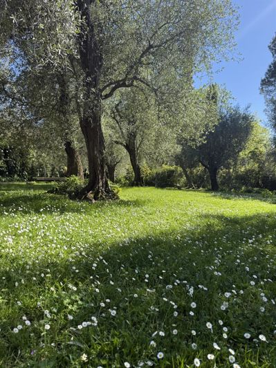 Image No.35-9 Bed House for sale