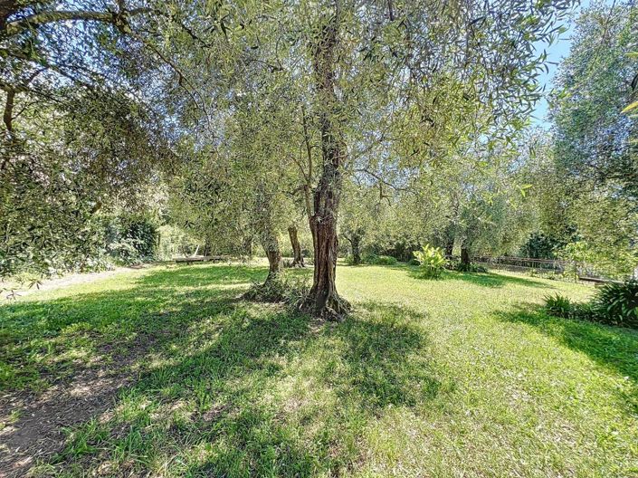 Image No.6-9 Bed House for sale