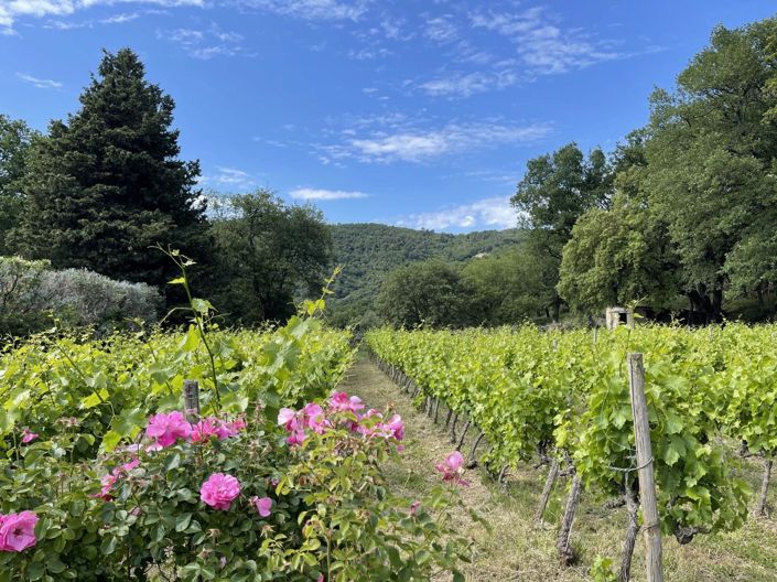 Image No.26-6 Bed House for sale