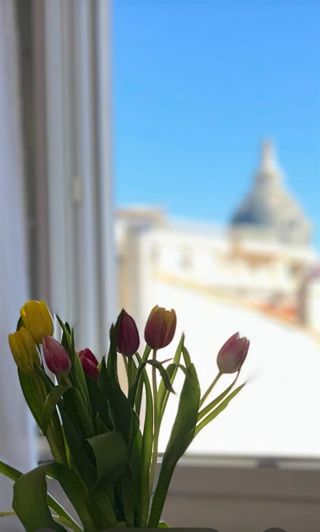 Image No.3-Appartement de 2 chambres à vendre à Cannes