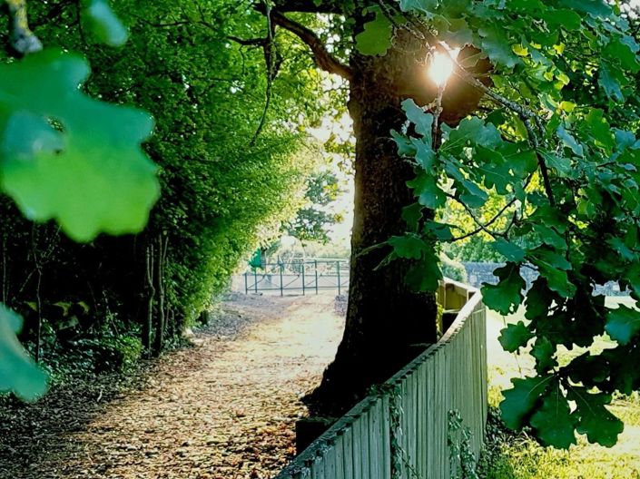 Image No.3-Maison de 3 chambres à vendre à Saint-Céré