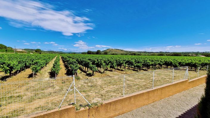 Image No.9-4 Bed House for sale