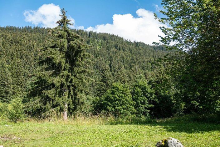 Image No.19-6 Bed House for sale