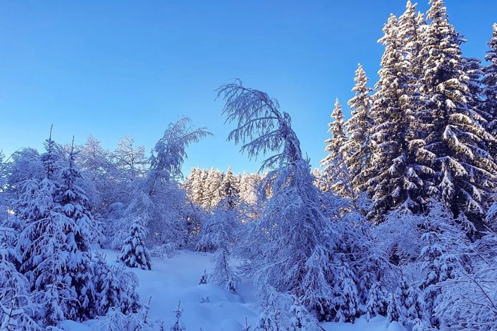 Image No.25-6 Bed House for sale