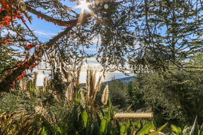 Image No.3-4 Bed House for sale