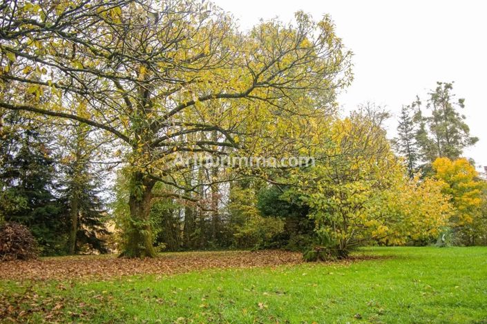 Image No.6-House for sale