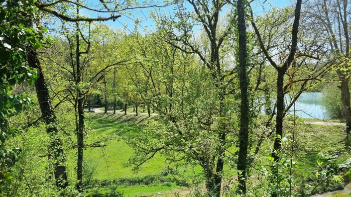 Image No.71-Propriété de 7 chambres à vendre à Tarn-et-Garonne