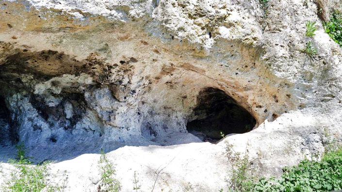 Image No.80-Propriété de 7 chambres à vendre à Tarn-et-Garonne