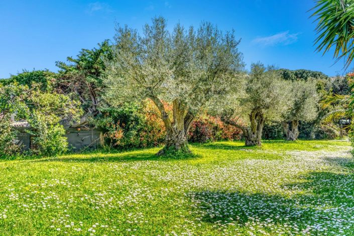 Image No.13-8 Bed House for sale