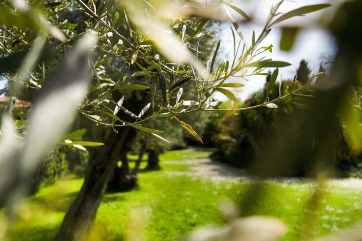 Image No.33-8 Bed House for sale