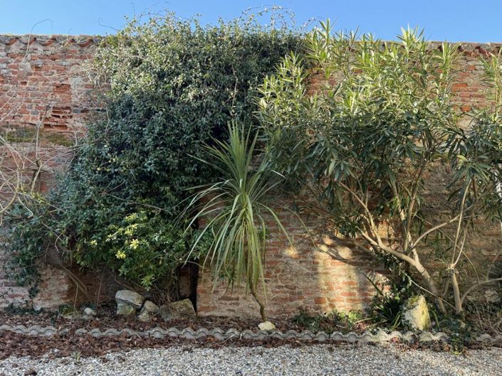 Image No.19-Maison de 8 chambres à vendre à Auvillar